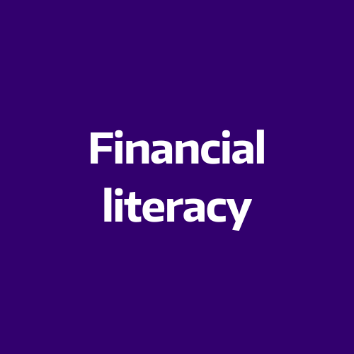 Financial literacy button icon