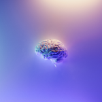 A 3-D model of a light purple brain highlighted within a similarly-colored light purple background.
