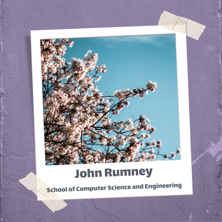 Image of Cherry Blossoms - John Rumney - School of Computer Science and Engineering