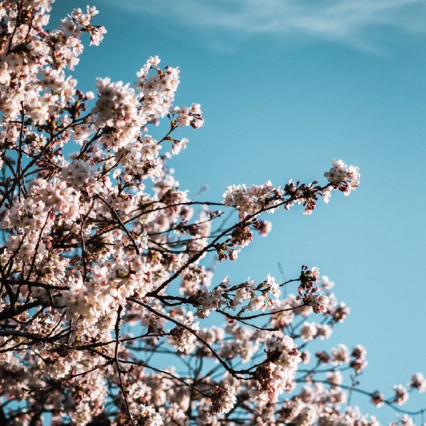 photo of the staff member