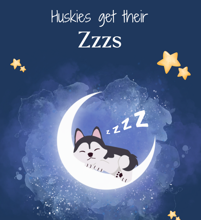 LiveWell's Huskies get their ZZZs image showcasing a sleeping husky cradling in a crescent shaped moon