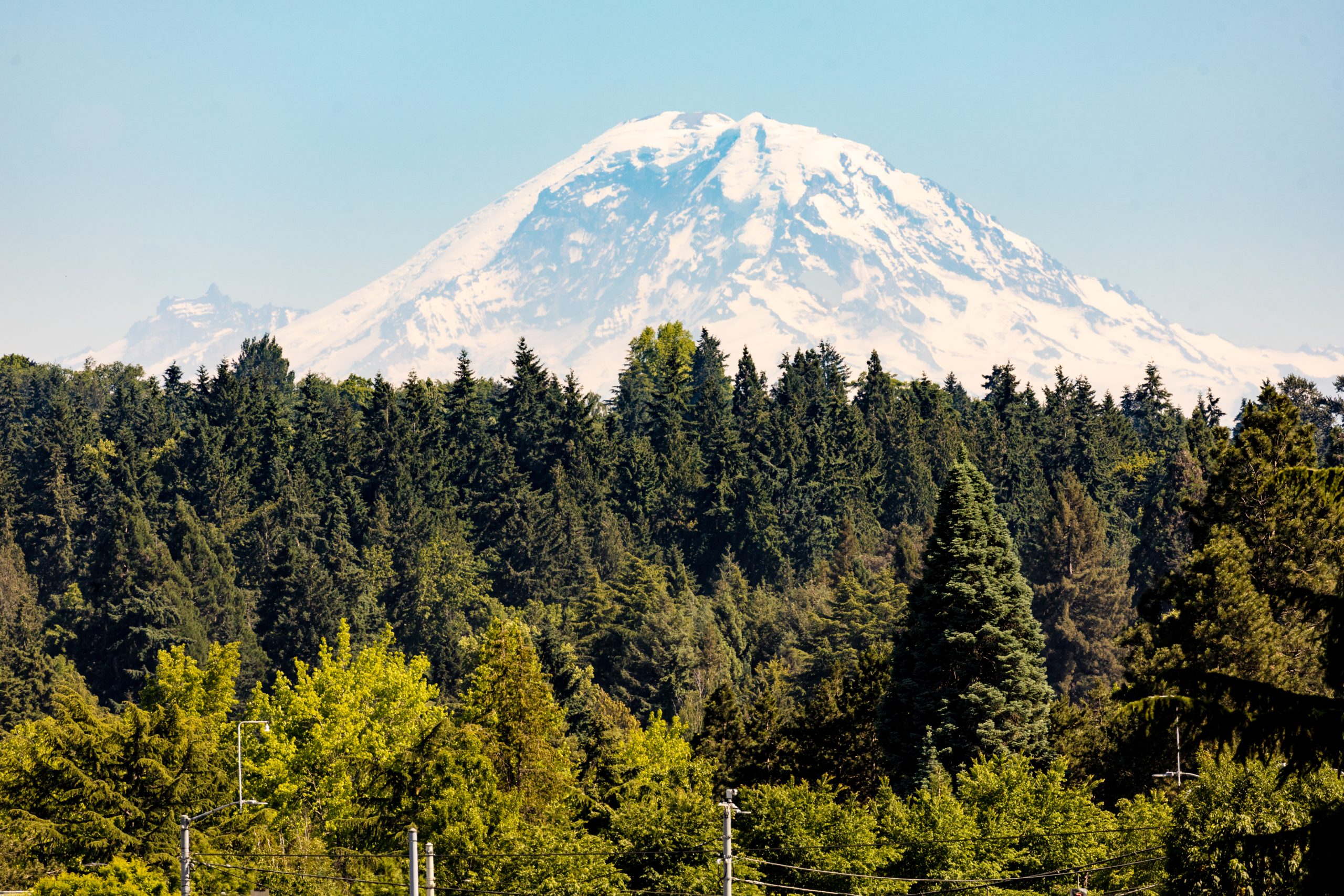 Mt. Rainier Image