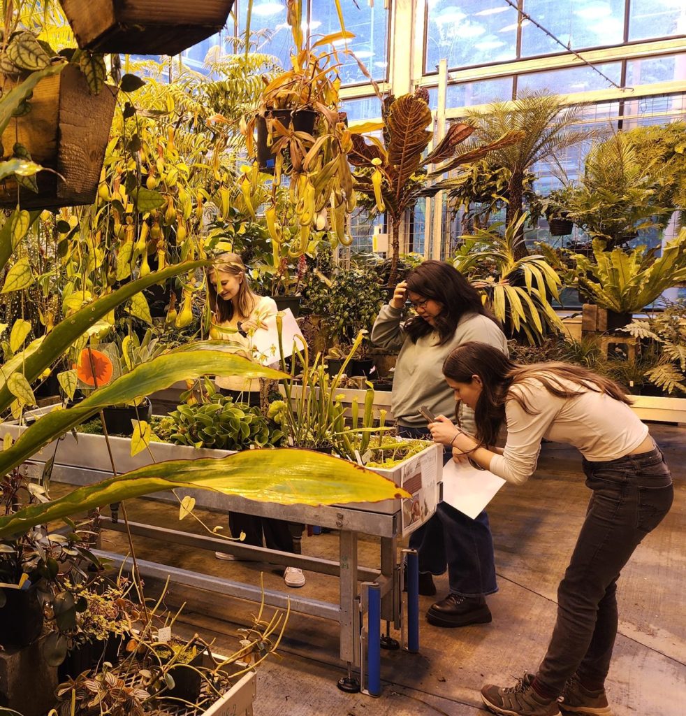 Students looking at plants in the UW greenhouse during a LiveWell event