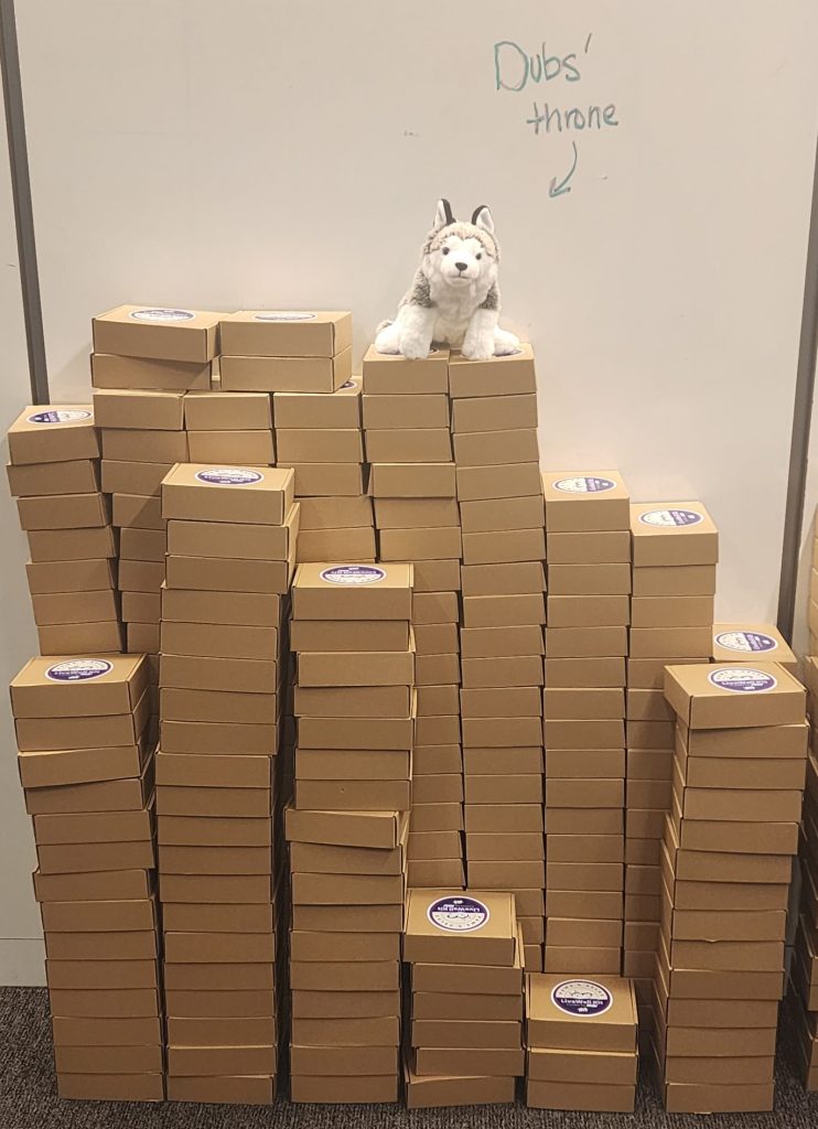 Dubs stuffed animal on top of a pile of LiveWell Kits